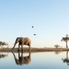 10 Books for Labor Day 2019 (and Beyond)